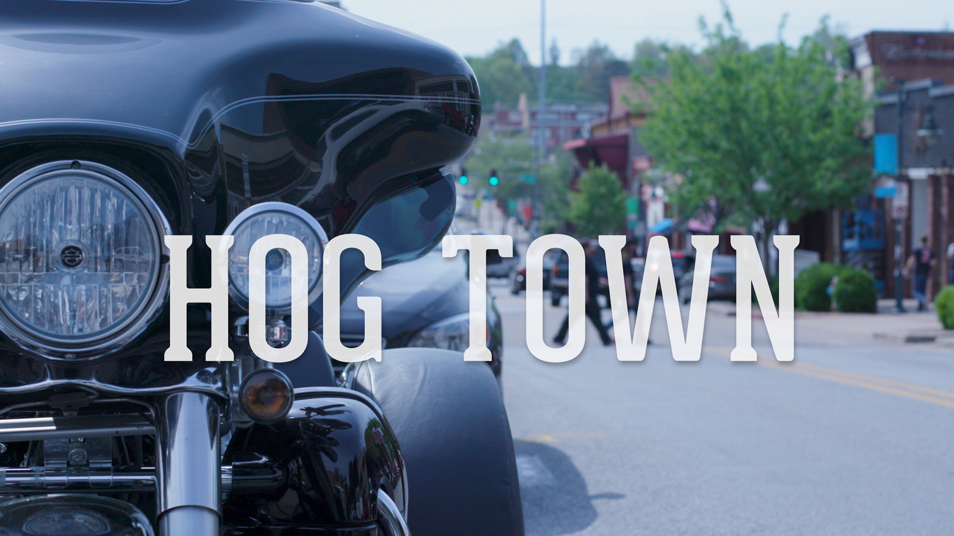 Hogtown Documentary Preorder Hogtown Movie Shop